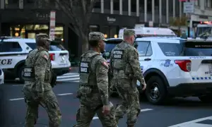 واشنگٹن میں نیشنل گارڈز پر حملہ عالمی سطح پر دہشتگردی دوبارہ ابھرنے کی علامت ہے، پاکستان