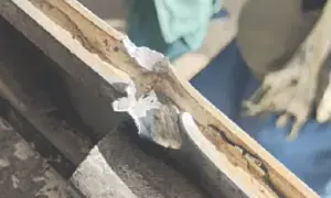 بلوچستان دھماکوں سے گونج اٹھا، ریلوے لائن تباہ کردی گئی