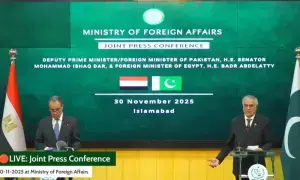 پاکستان دوطرفہ تجارت کے فروغ کیلئے مصر کے ساتھ 250 کاروباری اداروں کی فہرست شیئر کرے گا، اسحٰق ڈار