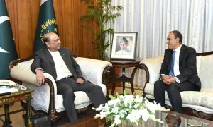 صدرمملکت سے مصری وزیرخارجہ کی ملاقات، سفارتی تعلقات کو وسیع تر اقتصادی شراکت داری میں تبدیل کرنے پر زور