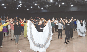 Love Guru screening, dance and theatre workshops draw crowds