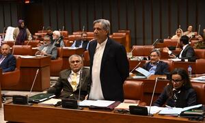 Govt manoeuvres 27th Amendment passage through Senate