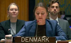 UN body sounds alarm over &lsquo;serious&rsquo; TTP threat