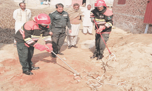 Rescuers catch 29 snakes from under-construction house in Shakargarh