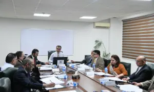 Saindak, PMDC, NICL to be privatised