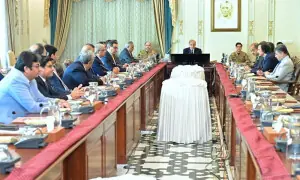 پی آئی اے کی نجکاری کے عمل میں شفافیت اور میرٹ کو یقینی بنا رہے ہیں، وزیرِ اعظم