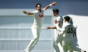 مچل اسٹارک ٹیسٹ کرکٹ میں سب سے زیادہ وکٹیں لینے والے لیفٹ آرم فاسٹ باؤلر بن گئے