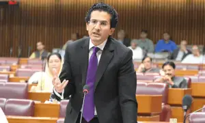 یکم جنوری سے اضافی ایل این جی عالمی مارکیٹ میں بیچنا شروع کریں گے، وزیر پیٹرولیم