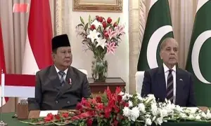 PM Shehbaz hails &lsquo;extremely productive, gratifying&rsquo; talks with Indonesian president