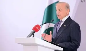 افواج پاکستان کی قربانیوں کا مذاق اڑائیں گے تو کون پاکستان کی عزت کرے گا، شہباز شریف