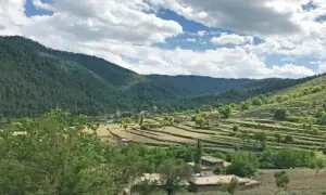 Tirah people start vacating houses as military operation looms large