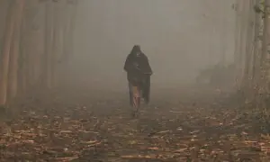 Report paints alarming picture of Peshawar&rsquo;s air quality crisis