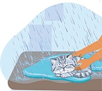 Story time: A letter to my lost cat