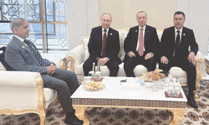 Turkiye backs stability plan as PM seeks global action to stem terror