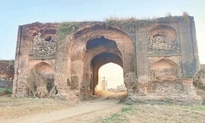 16th century Saraey Pakka Khanpur Fort reduced to cattle pen