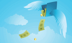 Where do the funds go?