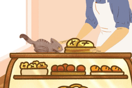 Story time : Through a cat&rsquo;s eyes