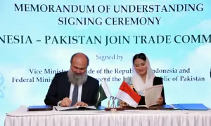 Pakistan, Indonesia to set up JTC to boost trade