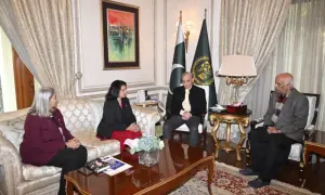 PM hails record remittances in December 2025, terms overseas Pakistanis &lsquo;valuable asset&rsquo;