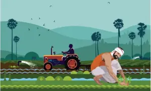 With farm sizes steadily shrinking, Pakistan needs smallholder-centric policies that safeguard their interests