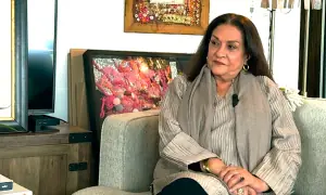 Samina Ahmed believes saas-bahu dramas are a vehicle of women empowerment