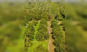 Kinnow exports caught between border closure, Iran sanctions threat