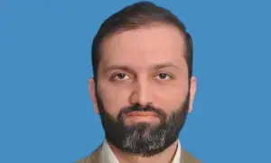 &lsquo;Not possible without officials&rsquo; involvement&rsquo;: PML-N senator on theft of Pakistanis&rsquo; data