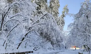 PMD warns of road closures, landslides in upper parts of country, urges tourists to remain &lsquo;extra cautious&rsquo;