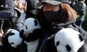 Japan&rsquo;s beloved last pandas leave for China as ties fray
