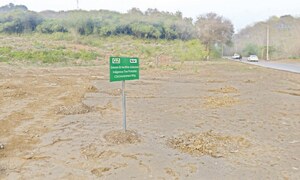 Massive tree cutting leaves Shakarparian &lsquo;bald, barren&rsquo;