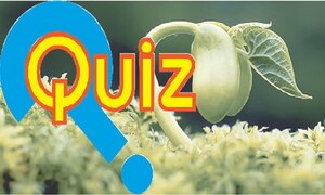 Quiz