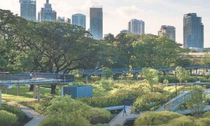 From longevity to lifestyle: where Bangkok goes to work out