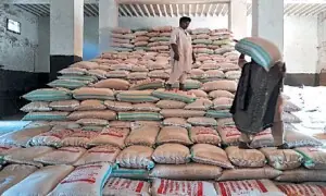 Five food officials sacked for &lsquo;misappropriating&rsquo; wheat stocks