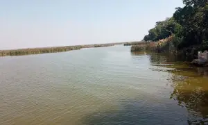 Haleji Lake begs for attention on World Wetlands Day