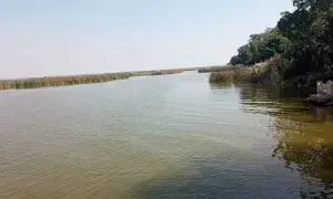 Sindh&rsquo;s Haleji Lake is not doing so well. Here&rsquo;s why