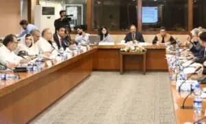 Parliamentary panel flags decline in exports