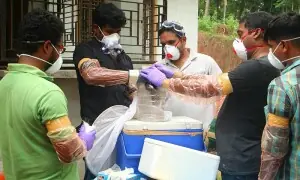 Nipah virus no immediate threat to citizens: AKUH experts