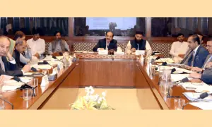 Senate panel raps food ministry