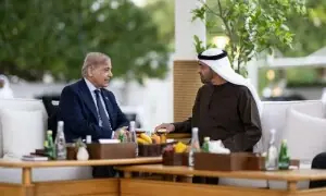 PM Shehbaz lauds UAE&rsquo;s &lsquo;consistent, unwavering&rsquo; support to Pakistan