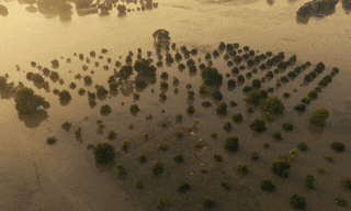 From paper to action: The missing link in Pakistan&rsquo;s response to climate change