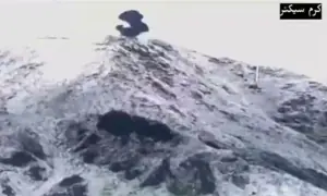 Forces repel &lsquo;miscalculated&rsquo; attacks by Afghan Taliban