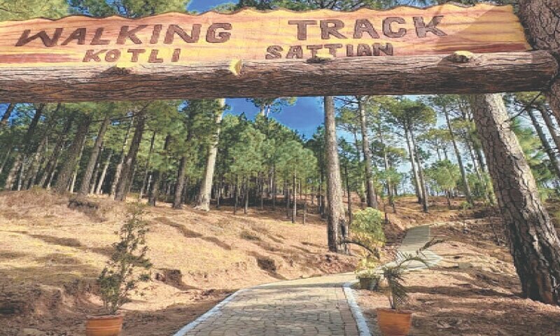 Walking track opens, glamping resort under construction in Kotli Sattian