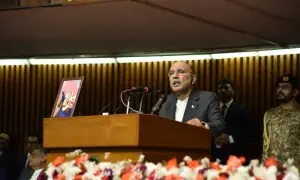 Will not allow any entity to use neighbouring territory to destabilise our peace, president says in joint sitting Will not allow any entity to use neighbouring territory to destabilise our peace, president says in joint sitting