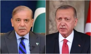 Turkiye will contribute to re-establishment of Pak-Afghan ceasefire, Erdogan tells PM Shehbaz