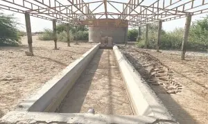 700 ponds dry up in Punjab&rsquo;s Cholistan