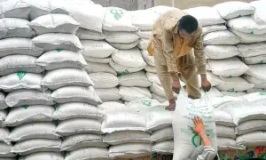 Urea, DAP supply lines open; govt assures farmers of stable fertiliser supply