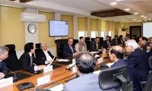 Govt to keep check on undue inventory gains by oil companies: Aurangzeb