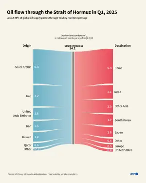 SEE: Oil flow through the Strait of Hormuz in Q1, 2025