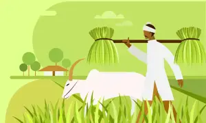 The long-term sustainability of Pakistan&rsquo;s agriculture sector is increasingly in question