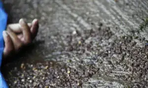 Two bullet-riddled bodies found in Quetta